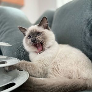 Meet your Posher, Kenny joyce